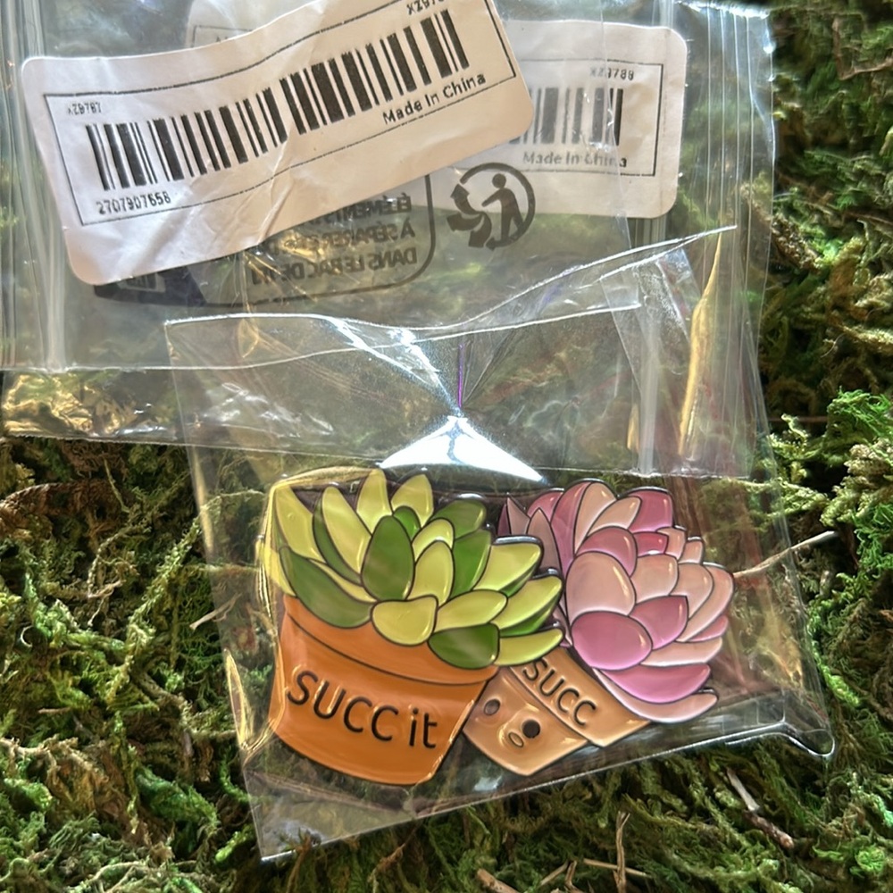Set of 2 Funny Succulent Pins